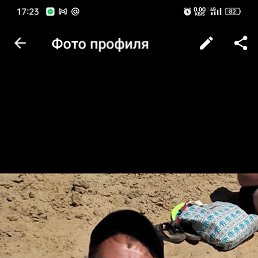 , 40, 
